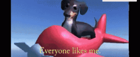 a dachshund is sitting on top of a pink airplane with the words everyone likes me below it