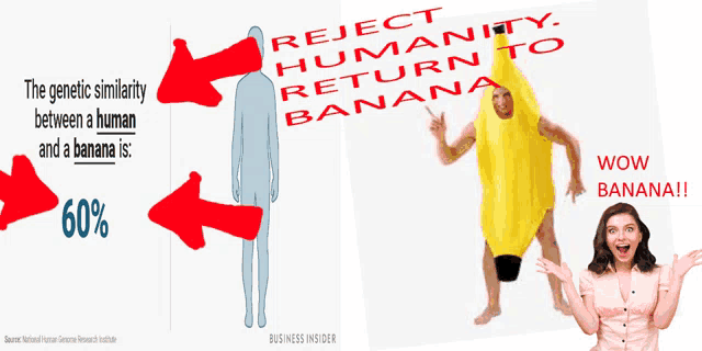 the genetic similarity between a human and a banana is 60%