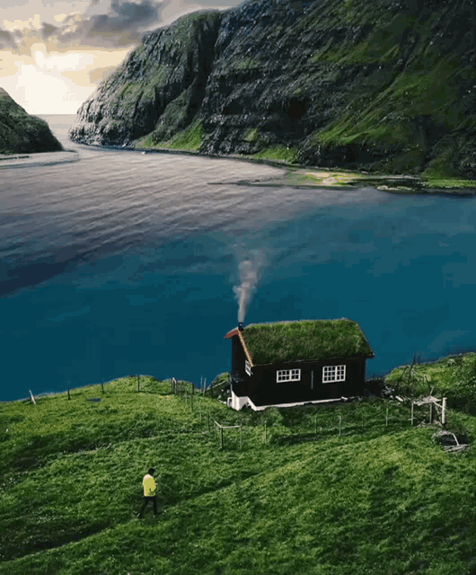 a house with a green roof and smoke coming out of the chimney is in the middle of a lush green field