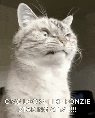 a cat is making a funny face and says `` omg looks like fonzie staring at me !! ''