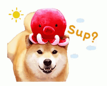 a dog is wearing a stuffed octopus on its head