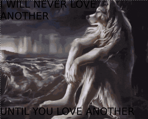 a painting of a wolf with the words " will never love another until you love another " below it