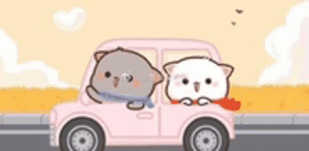 two cats are riding in a pink car on the road .