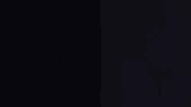 a google search for ciro gomes ministro da fazenda is displayed on a black background