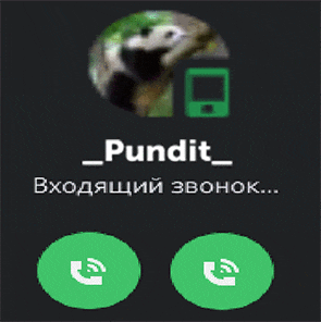 a phone screen with the name pundit and a picture of a panda bear