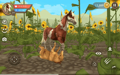 a horse standing in a field of sunflowers has a heart rate of 210/210