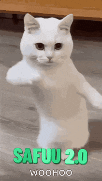 a white cat standing on its hind legs with the words safuu 2.0 woohoo above it .