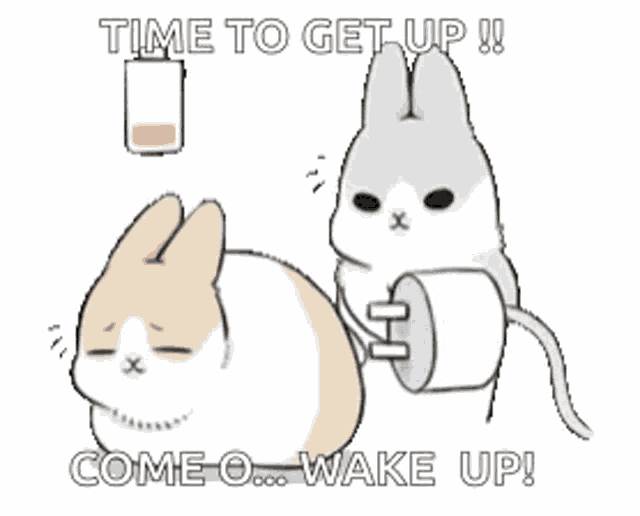 a cartoon of two rabbits with the words time to get up come o wake up written on it