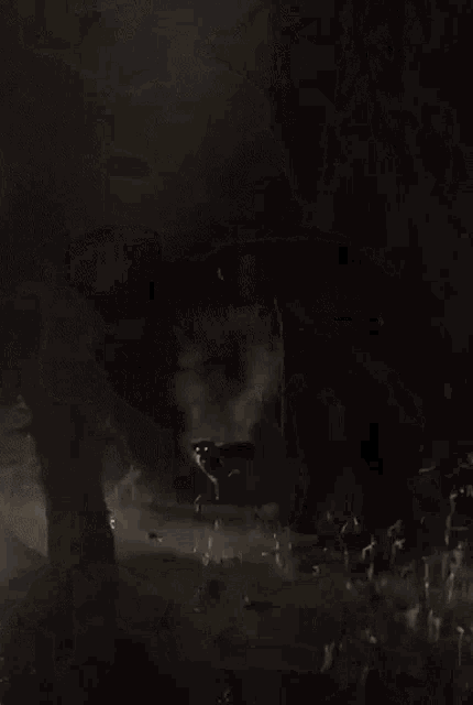 Black Dog GIF