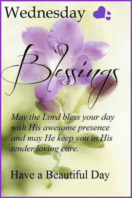 wednesday blessings may the lord bless your day with his awesome presence and may he keep you in his tender loving care.