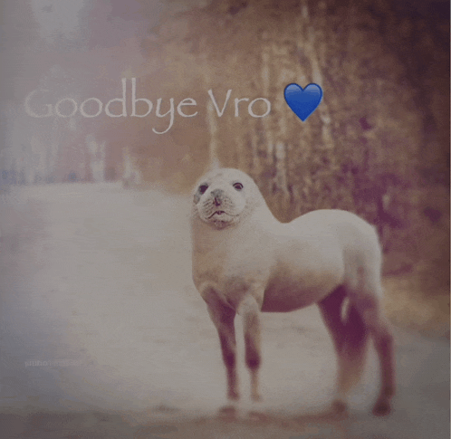 a picture of a seal with the words goodbye vro written on it