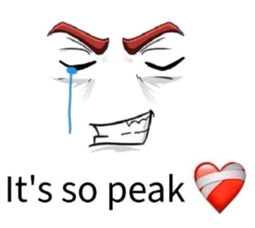 a cartoon face with a tear coming out of it and the words `` it 's so peak '' next to it .