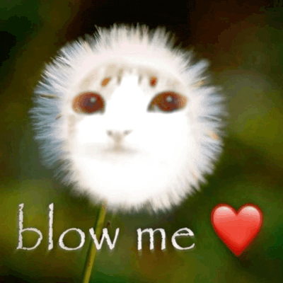 a dandelion with a cat 's face and the words blow me written on it
