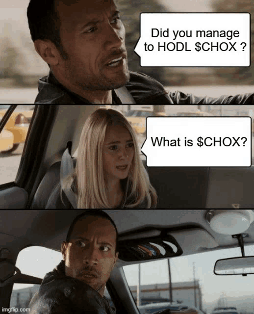 a man and a woman in a car with a speech bubble that says did you manage to hodl schox