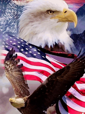 a bald eagle flies in front of an american flag