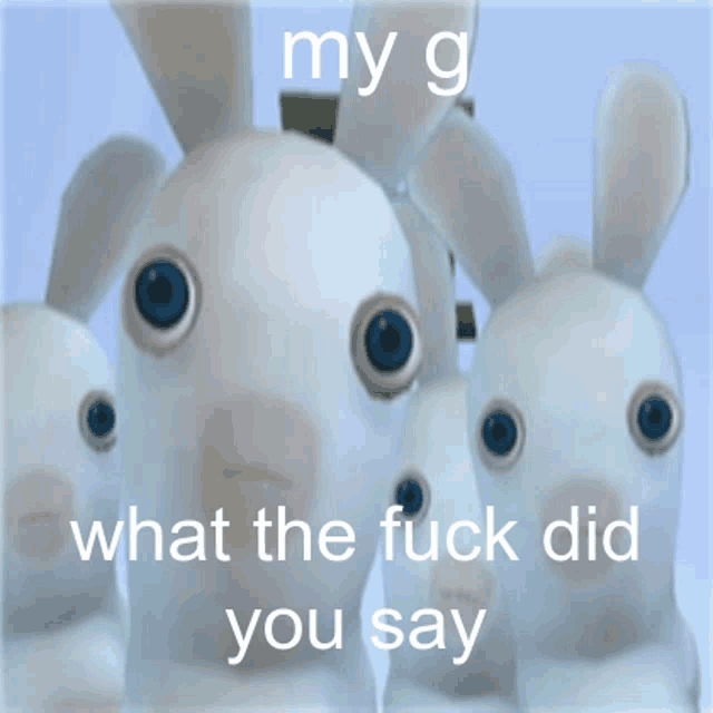 a group of white rabbits with blue eyes and the words " my g what the fuck did you say " on the bottom