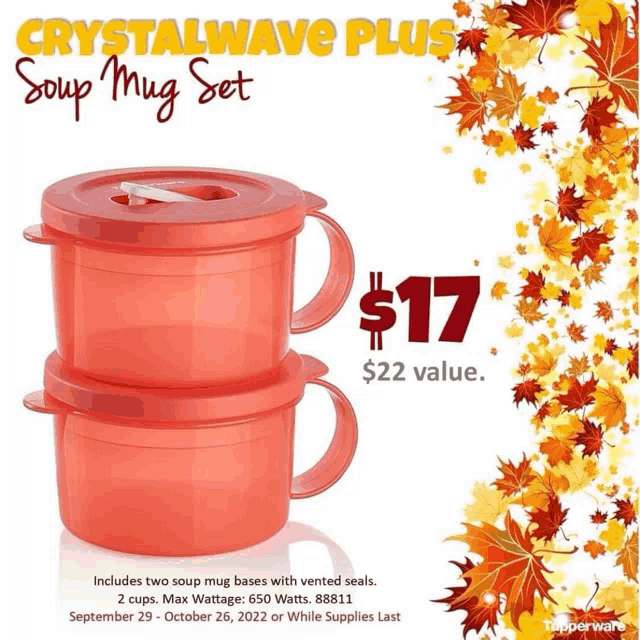 a tupperware advertisement for a soup mug set for $ 17