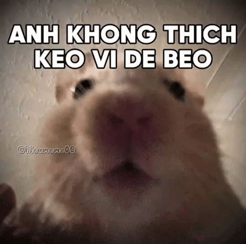 a close up of a hamster 's face with the words anh không thích keo vi de beo above it .
