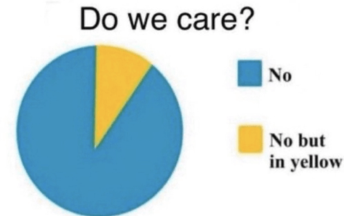 a pie chart that says " do we care " and " no but in yellow "