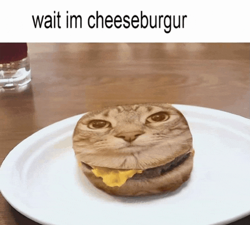 a cat shaped cheeseburger on a white plate