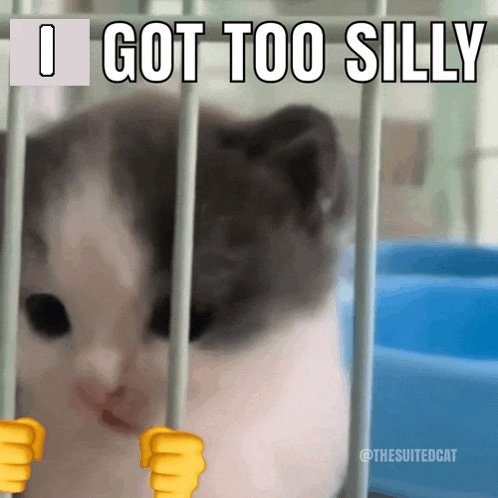 a cat in a cage with the words i got too silly above it