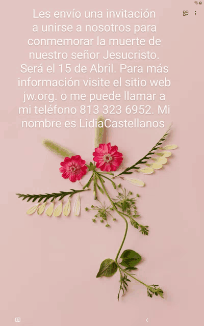 a pink background with flowers and the words les envio una invitacion on it