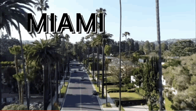 an aerial view of a miami street with palm trees on both sides