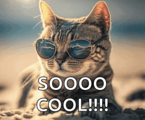 a cat wearing sunglasses with the words soooo cool !!! below it