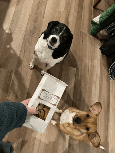 two dogs looking at a bag that says duck dog treats