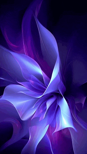 a purple flower with a dark background and a few white petals