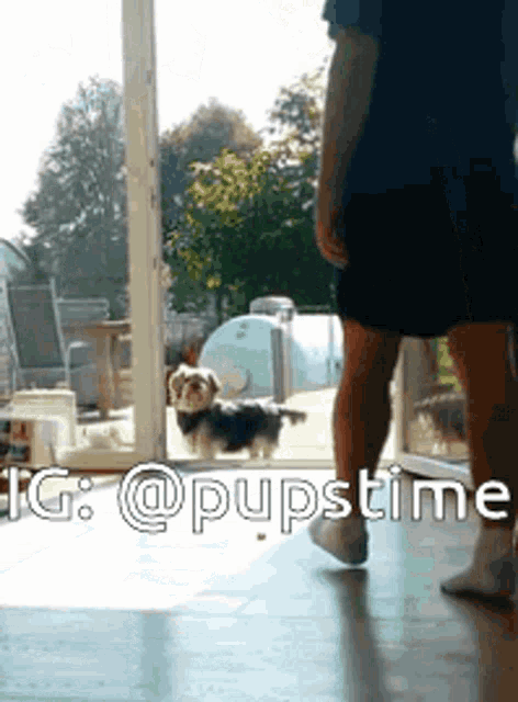 a picture of a man standing next to a dog with a caption that says pupstime