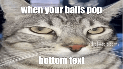 a close up of a cat 's face with a caption that says " when your balls pop bottom text "