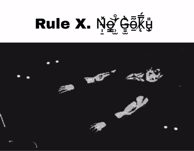 a black and white photo with the words rule x. no goku