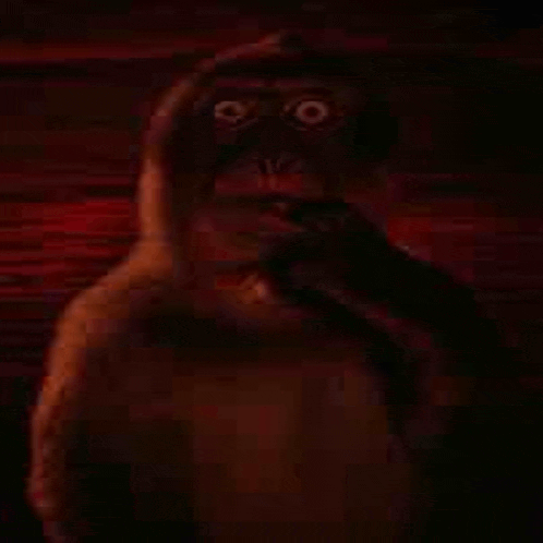 a close up of a monkey in a hoodie in a dark room with a brick wall in the background .