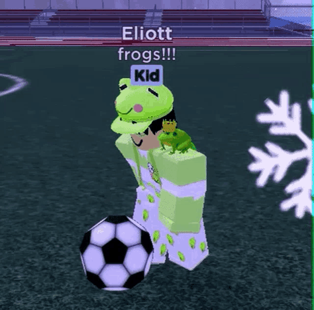 a girl with a frog on her head is standing next to a soccer ball in a video game .