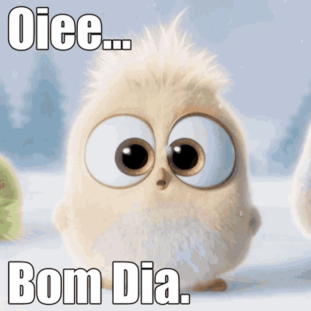 a cartoon owl with big eyes and the words bom dia