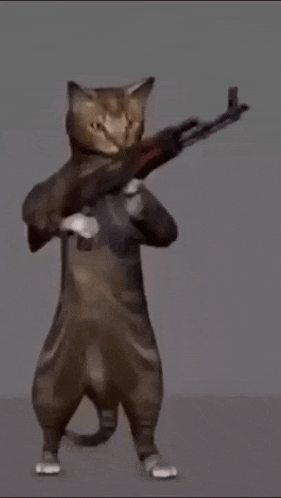 a cat is holding a gun in its mouth