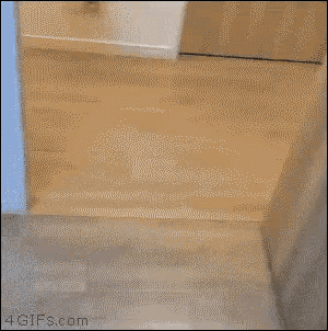 a black and white cat is playing with a toy in front of a trash can that says 4gifs.com on it