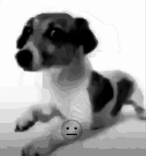 a black and white drawing of a dog with a smiley face on it