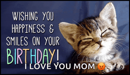 a birthday card with a kitten and the words wishing you happiness and smiles on your birthday