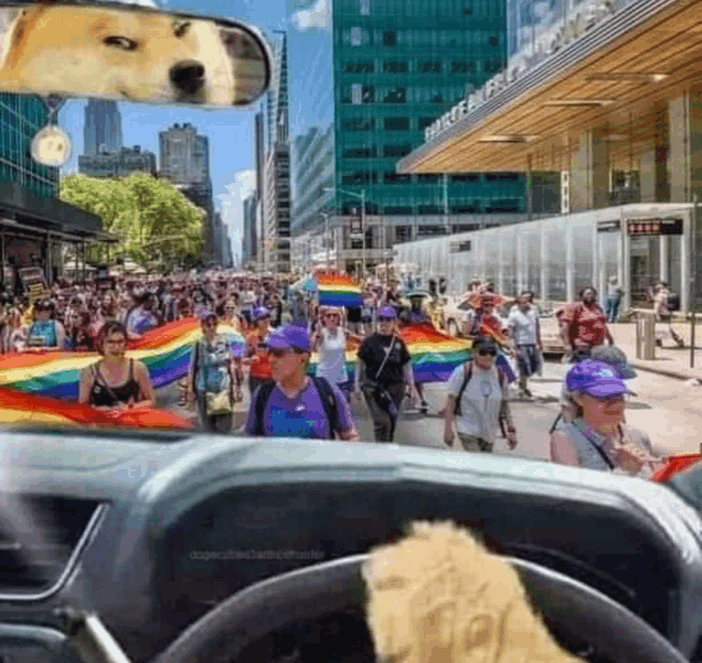 a dog is sitting in the driver 's seat of a car watching a crowd of people march down a street