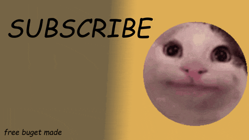 a picture of a cat with the words subscribe free buget made