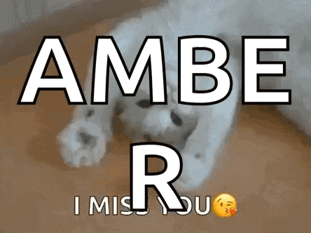 a picture of a dog with the words ambe r i miss you on it