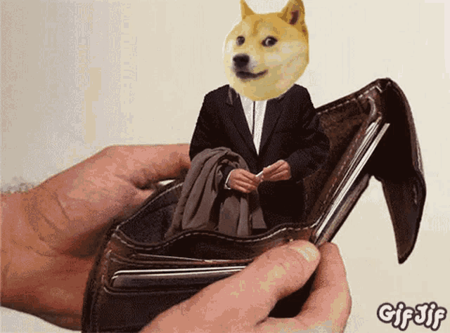 a doge in a suit is sitting in an empty wallet