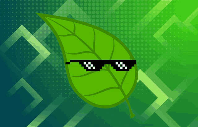 a green leaf wearing sunglasses on a green and blue background