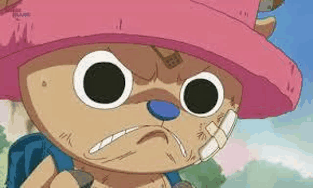 tony tony chopper from one piece is wearing a pink hat and a bandage on his face .