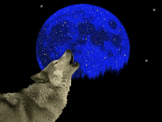 a wolf howling in front of a full blue moon