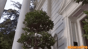 a white building with a tree in front of it and the nick nite logo