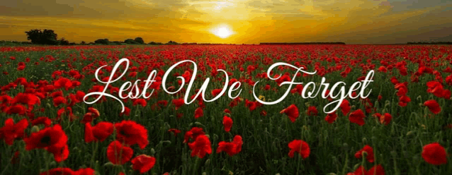 a field of red flowers with the words " lest we forget " on it