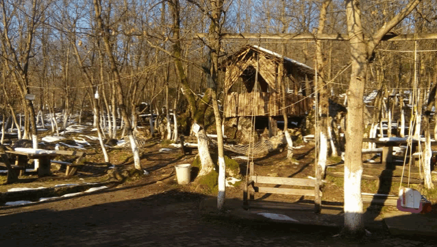 a wooden swing is hanging from a tree in the woods